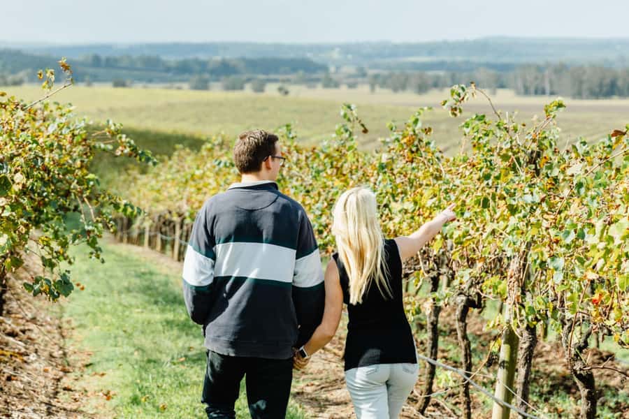 Private Hunter Valley Wine Tour Departing from Newcastle - How this private Hunter Valley tour works from Newcastle