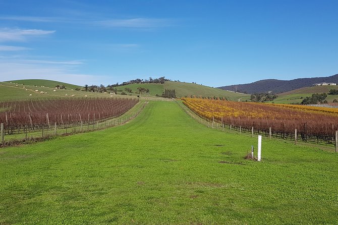 Private, Luxury and Tailored Yarra Valley Wine Tour - Key highlights worth knowing before you go
