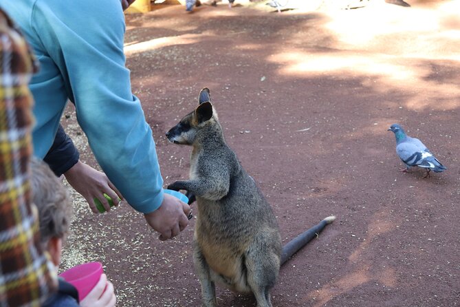 Private Luxury Blue Mountain Tour with Wildlife and River Cruise - Starting in Sydney: pickup, harbor views, and a no-stress exit