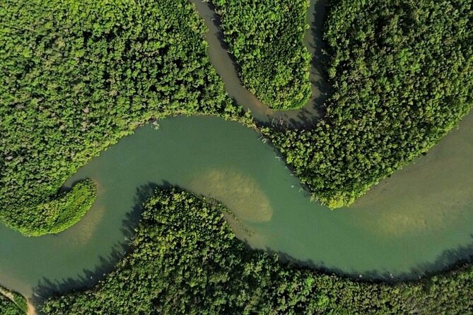 Private Luxury Cape Tribulation Adventure and Crocodile Cruise - Luxury Transport Details That Actually Matter in the Heat