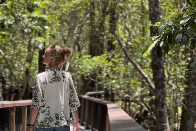 Private Luxury Cape Tribulation Adventure and Crocodile Cruise - Port Douglas Pickup and Breakfast That Sets the Tone