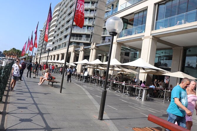 Private Luxury Half Day Sydney City Tour - Private Luxury Comfort That Gets You Across Sydney Fast