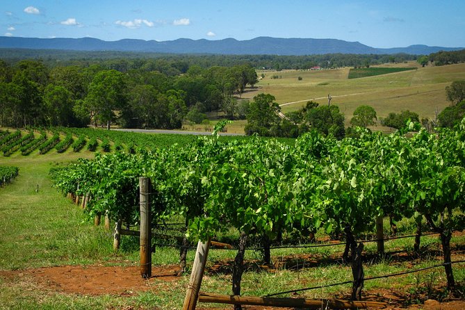 Private Luxury Tour: Tastes of the Hunter Valley - Café Enzo lunch: where the setting matches the pace