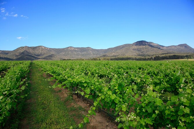 Private Luxury Tour: Tastes of the Hunter Valley - Who this private luxury Hunter Valley tour fits best