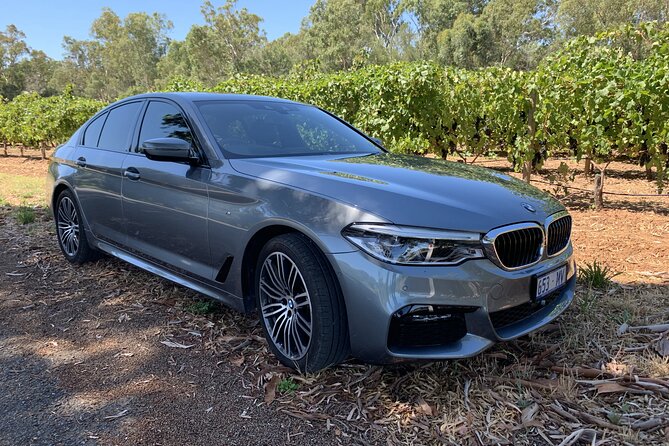 Private McLaren Vale Wine Region Tour from Adelaide - Stop 1: Your First Taste in the McLaren Vale Region