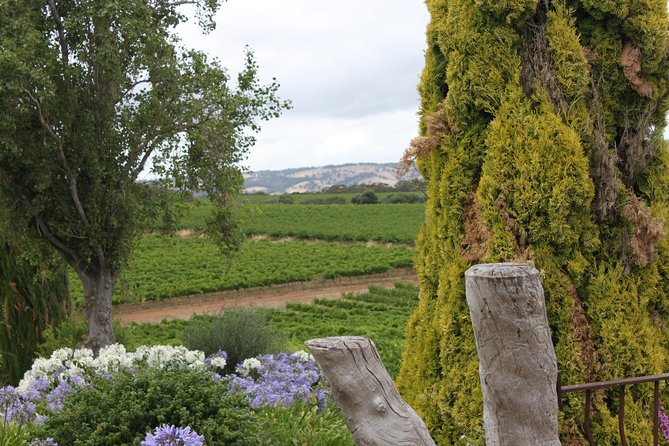 Private McLaren Vale Wine Region Tour from Adelaide - What’s Included vs. What You Pay For