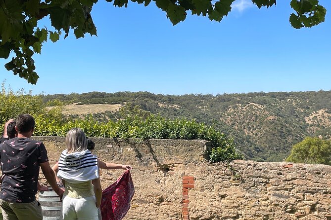 Private Mclaren Vale Wine Tour - Wirra Wirra and Primo Estate: pairing style, not just tasting style