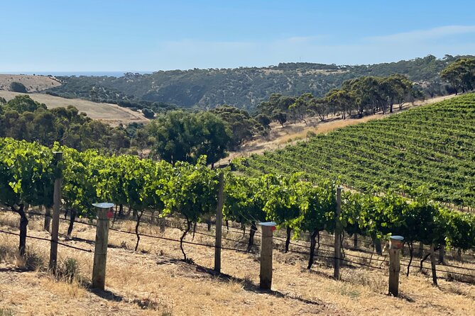 Private Mclaren Vale Wine Tour - d’Arenberg Cube: the reason this tour is different