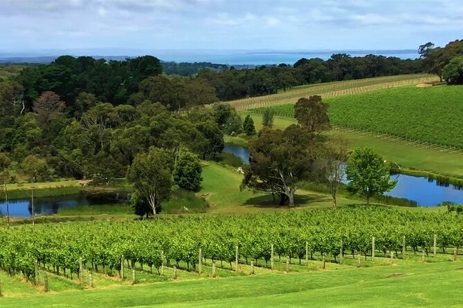 Private Mornington Wine Tour Small Group - Price and value: does $438.24 per person make sense?