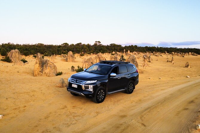 Private One Day Perth Tour - Yanchep National Park: wildlife spotting and limestone caves time
