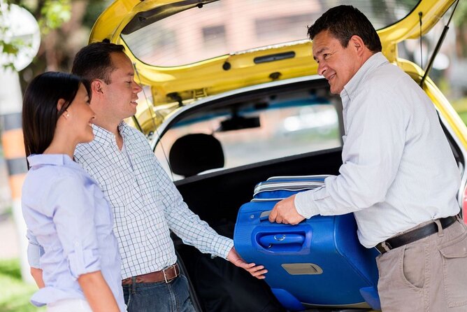 Private One-Way Airport Transfer from Sydney Airport to Sydney - Drop-off at your accommodation: keeping the ride stress-free