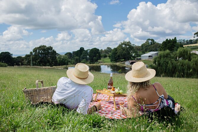 Private Picnic Lunch Experience in Orange with Wine - Key Things I’d Book This For