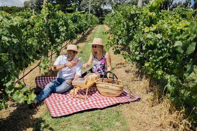 Private Picnic Lunch Experience in Orange with Wine - Who This Picnic Suits Best (And When It Might Not)