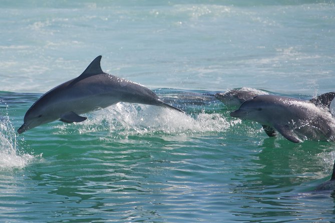Private Port Stephens Day Trip from Sydney incl Dolphin Cruise - Gan Gan Lookout: 10 Minutes of Big Harbour Views