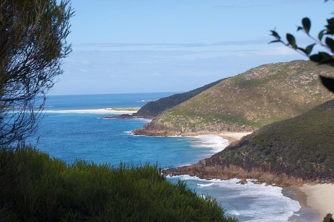 Private Port Stephens Day Trip from Sydney incl Dolphin Cruise - Stockton Sand Dunes: Sandboarding for 30 Minutes (Plus Optional 4WD)