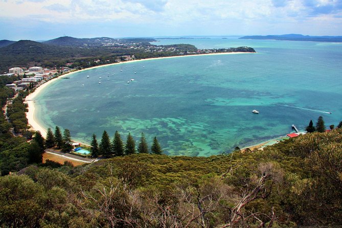Private Port Stephens Day Trip from Sydney incl Dolphin Cruise - Nelson Bay Dolphin Cruise: 3 Hours to Actually Look