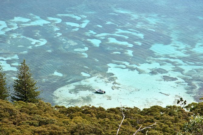 Private Port Stephens Day Trip from Sydney incl Dolphin Cruise - Food, Gear, and How to Survive an 11-Hour Long Day