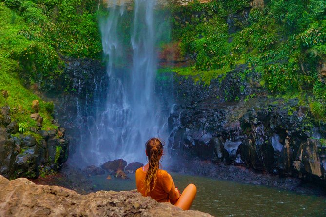 Private Rainforest & Wildlife Tour - Build Your Own Experience - Key highlights worth planning around