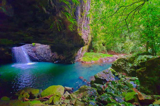 Private Rainforest & Wildlife Tour - Build Your Own Experience - Natural Bridge: a quick classic stop with room to breathe