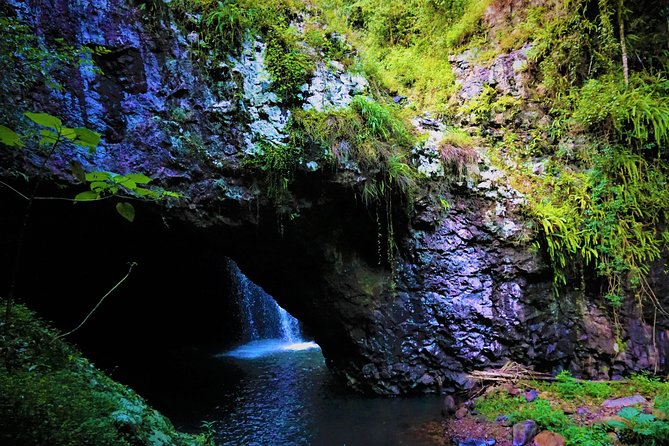 Private Rainforest & Wildlife Tour - Build Your Own Experience - Lunch at a waterfall: why the picnic choice changes the whole day