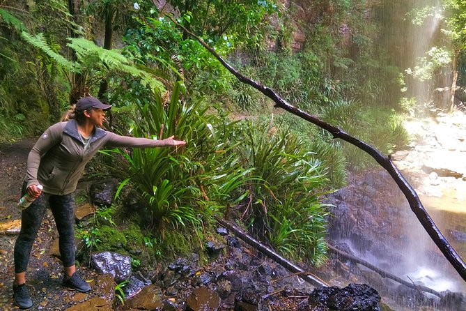 Private Rainforest & Wildlife Tour - Build Your Own Experience - Who this private rainforest tour fits best