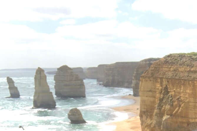 Private Small Group Tour of 2-7pax in Great Ocean Road Melbourne - Apollo Bay for food and a reset between major viewpoints