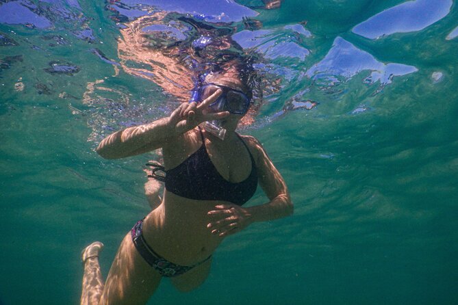Private Snorkeling Tour In Sydney's Marine Reserve - Bronte–Coogee: Why This Marine Reserve Works for Snorkeling