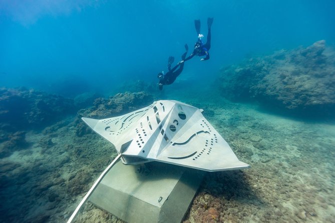 Private Standard Charter Experience in Whitsundays - What’s Included (and What You’ll Want to Bring)