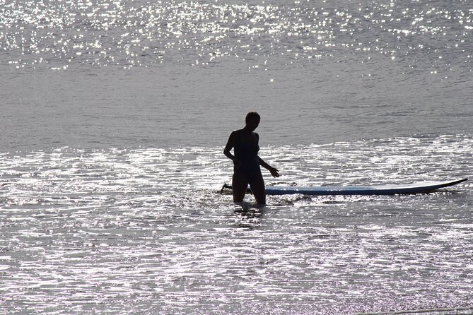 Private Surf Coaching Session in New South Wales - Who should book this NSW surf coaching session?