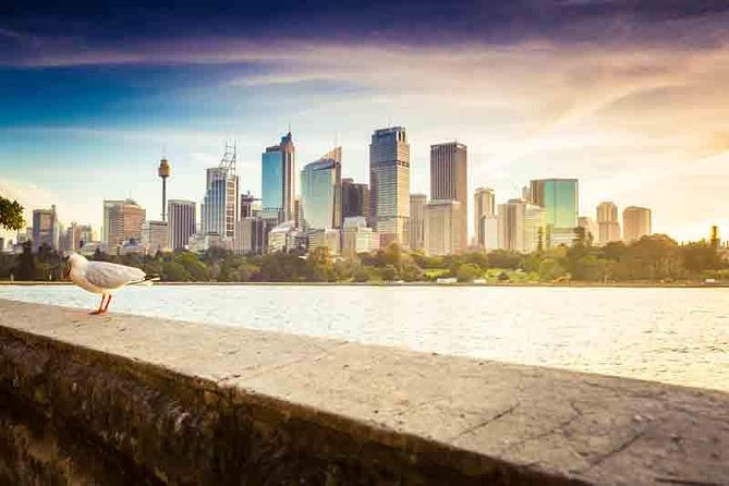 Private Sydney City and Bondi Beach Half Day Tour - Bondi Beach for an hour: the coast stop that makes the tour feel like Sydney