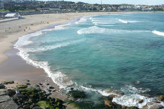 Private Sydney City Tour: The Key Attractions - Private Luxury Transport That Actually Saves Time