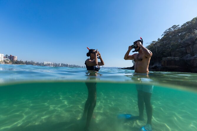 Private Sydney Snorkeling Experience: Explore Cabbage Tree Bay - Shelly Beach snorkeling: a guided session built for your comfort level