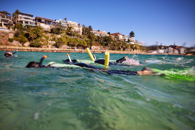 Private Sydney Snorkeling Experience: Explore Cabbage Tree Bay - Best for who? The right kind of snorkeling mindset