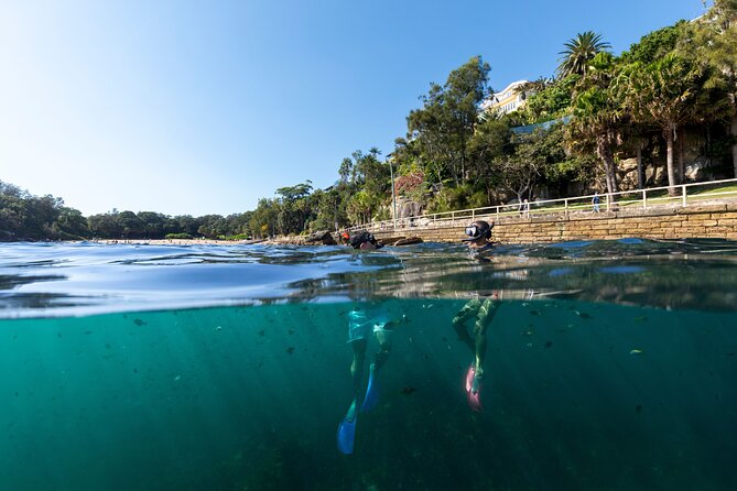 Private Sydney Snorkeling Experience: Explore Cabbage Tree Bay - Gear, wetsuits, binoculars, and the “learn as you go” approach