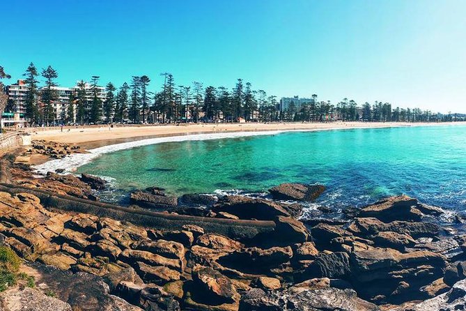Private Sydney Tour Including Sydney Opera House, Bondi and Manly - Why a private Sydney circuit beats trying to wing it