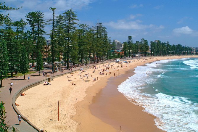 Private Sydney Tour Including Sydney Opera House, Bondi and Manly - Bondi Beach promenade time: the famous sand stop, done right