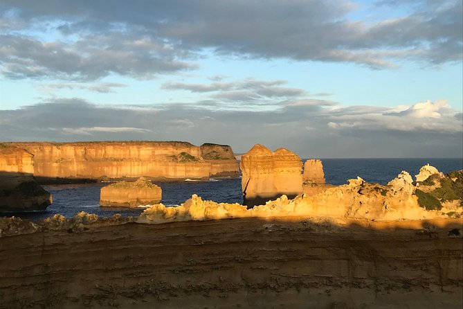 [PRIVATE TOUR] 12 Apostles | Great Ocean Road | Day Trip - Mait’s Rest Rainforest Walk: Ferns, Eucalyptus, and Shade Time