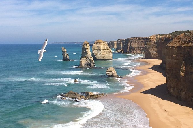 [PRIVATE TOUR] 12 Apostles | Great Ocean Road | Day Trip - Twelve Apostles: The Best Hour You’ll Spend All Day