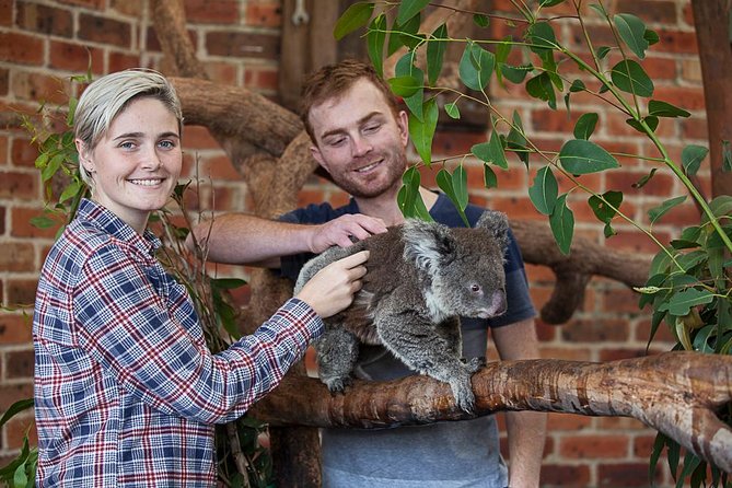 Private Tour: Blue Mountains Day Trip from Sydney - Calmsley Hill City Farm: animal encounters before you hit the lookouts