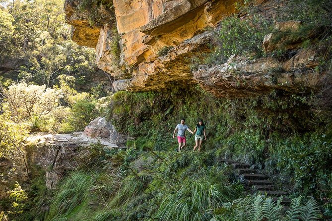Private Tour: Blue Mountains Hiking & Nature - A guided Blue Mountains hike that feels well paced, not exhausting