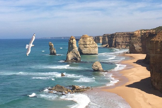 [PRIVATE TOUR] Express Great Ocean Road | Day Trip - Key highlights to look for