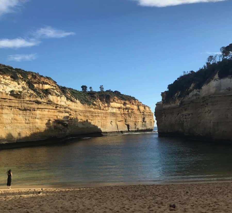 Private Tour: Great Ocean Road - Twelve Apostles - Kennett River koalas: the walk stop that changes the whole mood