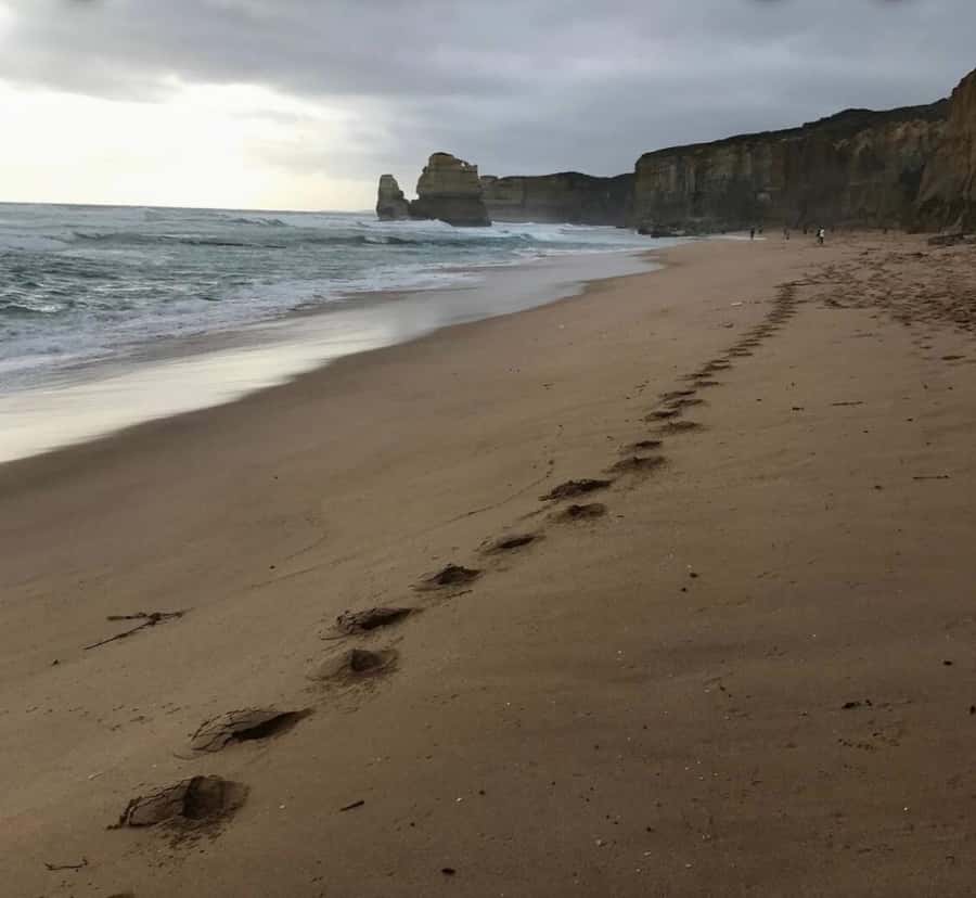Private Tour: Great Ocean Road - Twelve Apostles - The Twelve Apostles precinct: Gibson’s Steps and the boardwalk views