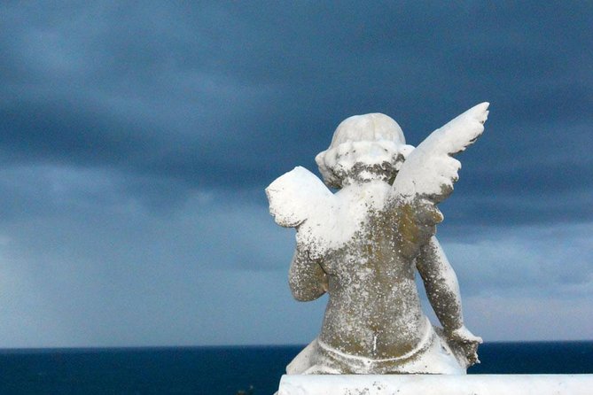 Private Tour: Half-Day Iconic Sydney - Jacob’s Ladder, Whale Season, and the Pacific-to-Harbour Perspective