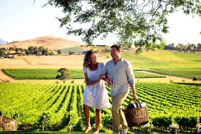 [PRIVATE TOUR] Mornington Peninsula Hot Springs | Winery & Sightseeing Tour - Who should book this tour (and who might skip it)