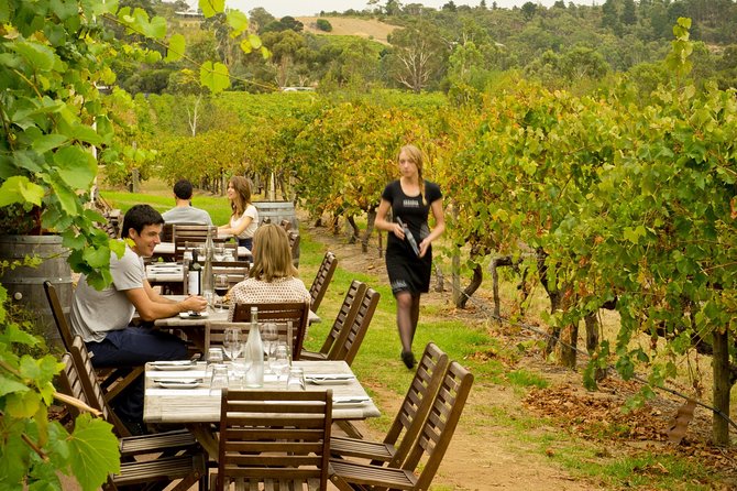 [PRIVATE TOUR] Mornington Peninsula Hot Springs | Winery & Sightseeing Tour - Mornington Peninsula sightseeing: where the tour sets the tone