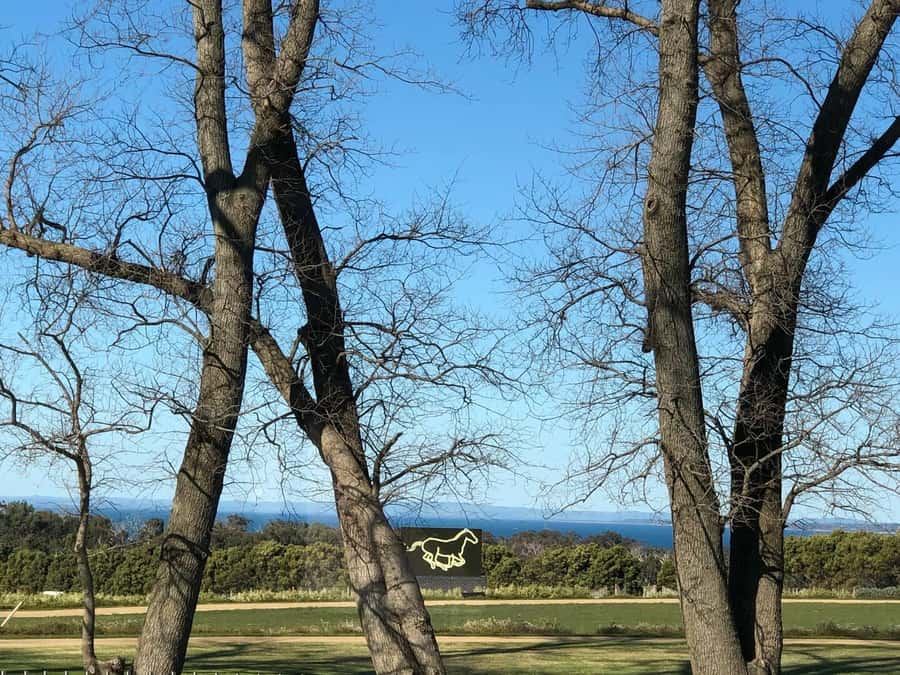 Private Tour: Mornington Peninsula Wine, Beer & Hotsprings - Key points to know before you go