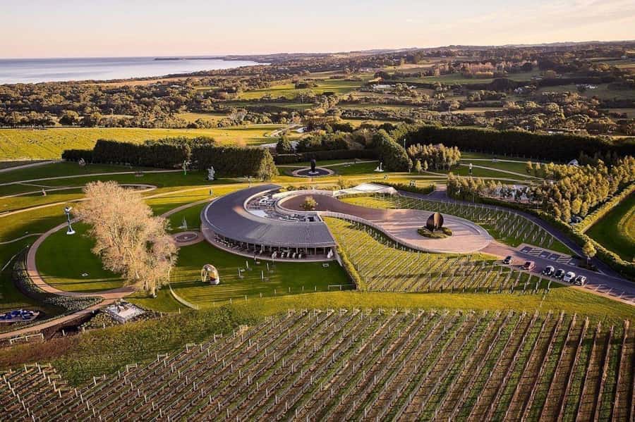 Private Tour: Mornington Peninsula Wine, Beer & Hotsprings - Mornington Peninsula day trips: why this one feels right