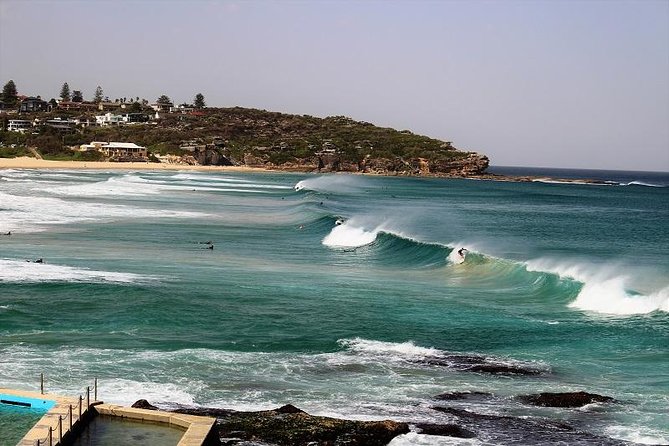 Private tour of Ku-Ring-Gai National Park and Northern Beaches - Manly Beach and Shelley Beach: a calm walk with sea-sculpture charm