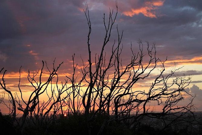 Private tour of Ku-Ring-Gai National Park and Northern Beaches - The tour rhythm: how the guide makes 9 hours feel easy